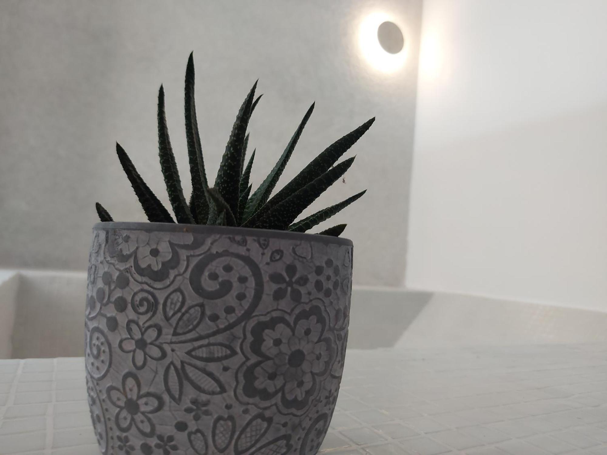 Karlovasi Studios Karlovassi Dış mekan fotoğraf